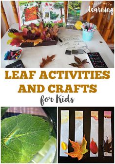 cool Top Summer Proj