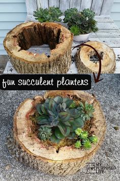 cool Top Summer Proj