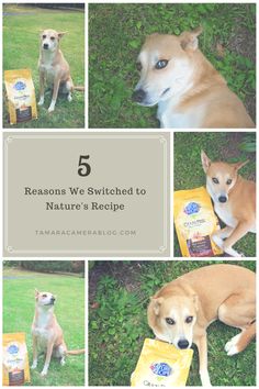 Find out our top 5 r